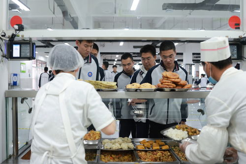 河北定兴 智慧监管筑牢校园食品安全防线，企业管理咨询助力长效提升